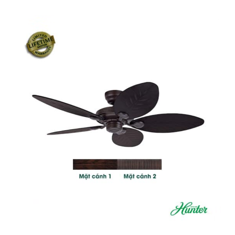 Quạt trần HUNTER OUTDOOR 24323